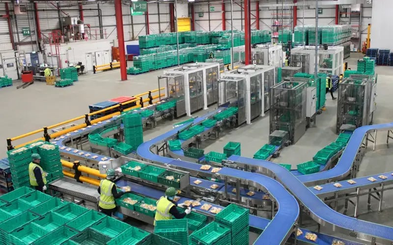 morrisons-packhouse