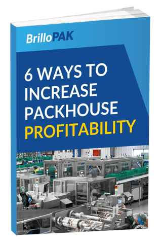 brilloPAK, Packing to Perfection mockup brilloPAK, Packing to Perfection mockup