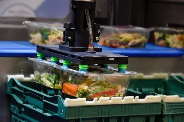 brillopak-food-packaging-machines-end-effectors-3