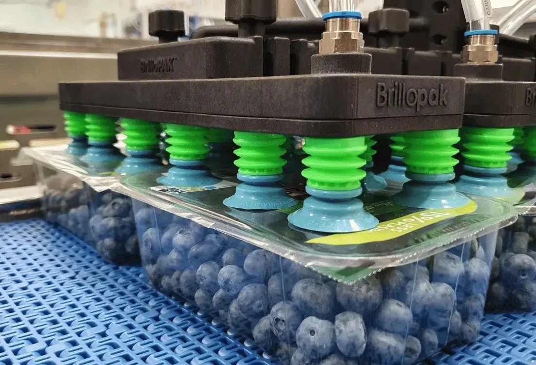 Automated Production Lines: How Does A Pick And Place Robots Work?