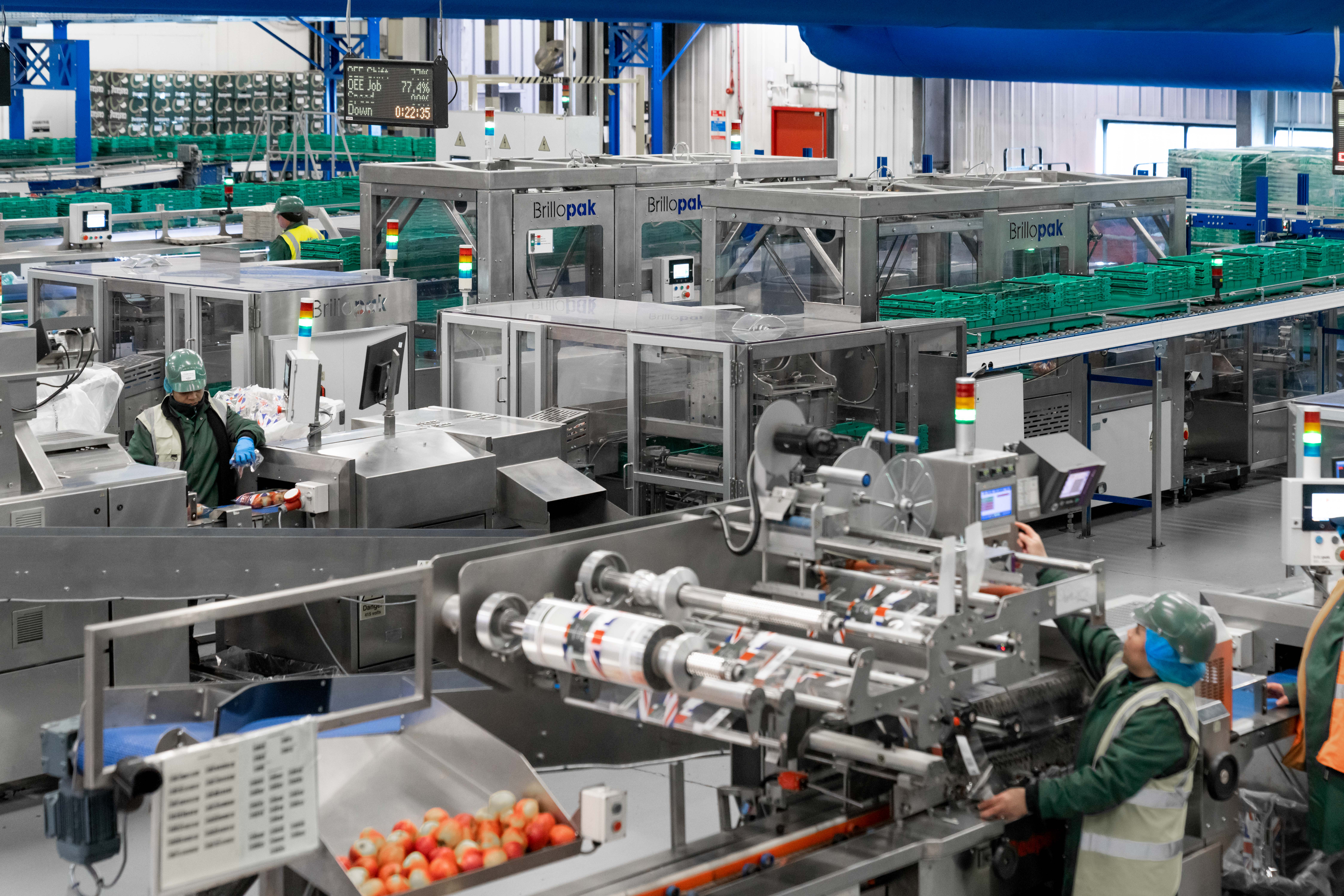 Automated packing machines operating on a food production line to improve packaging efficiency and productivity.