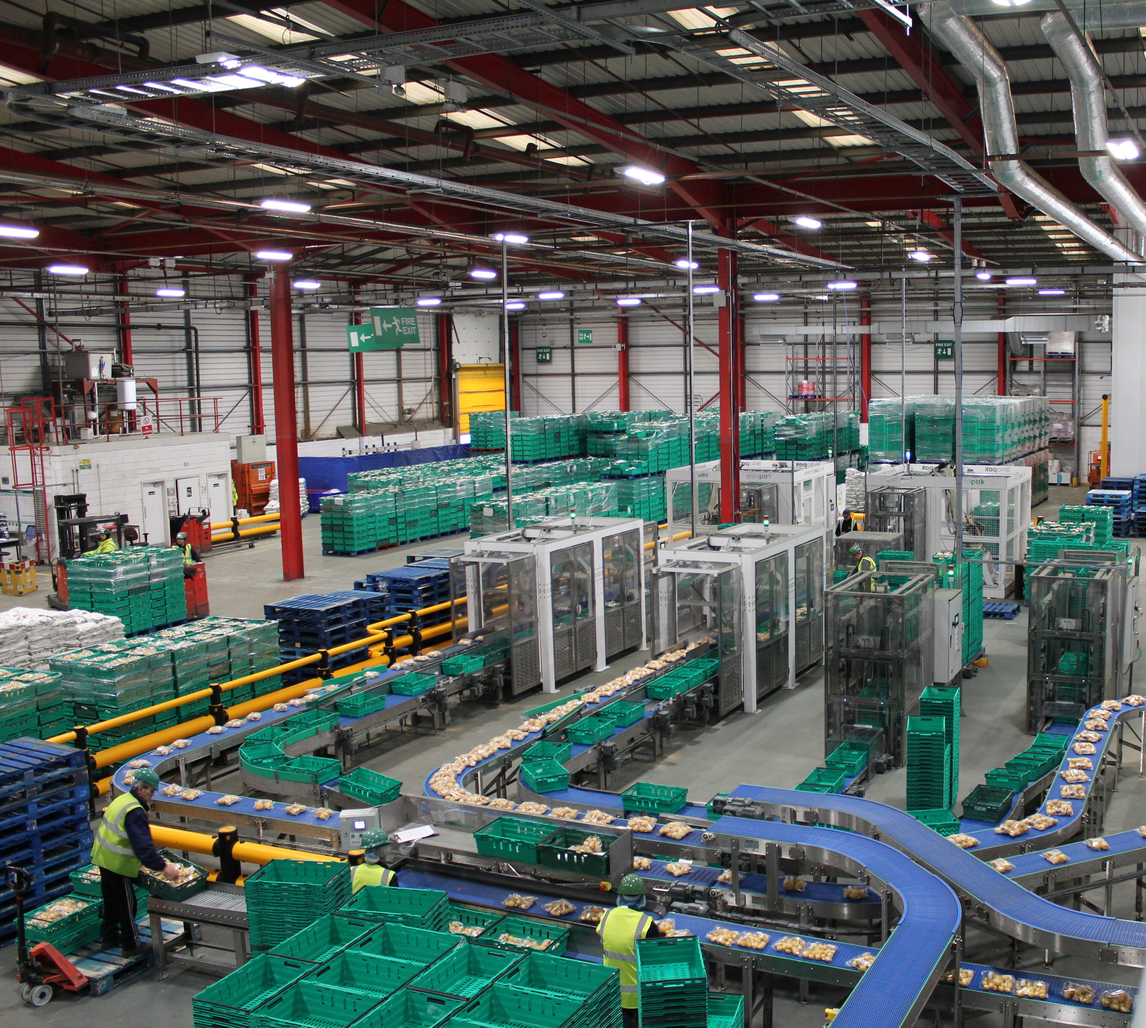 Automated Packaging 4.0 production line generating real-time factory data across a food manufacturing facility.