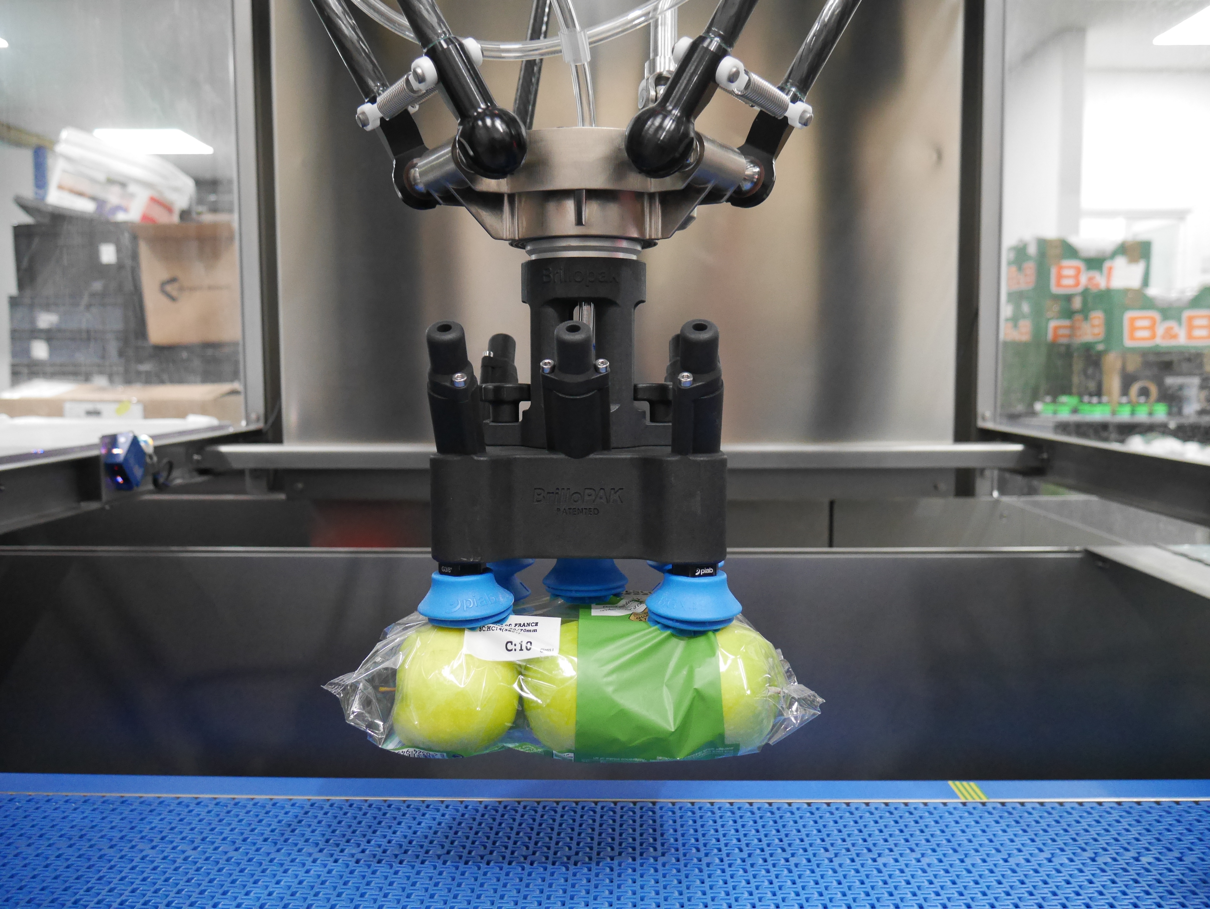 Robotic packing machine handling packaged apples during an automated packing machine refurbishment and production process.