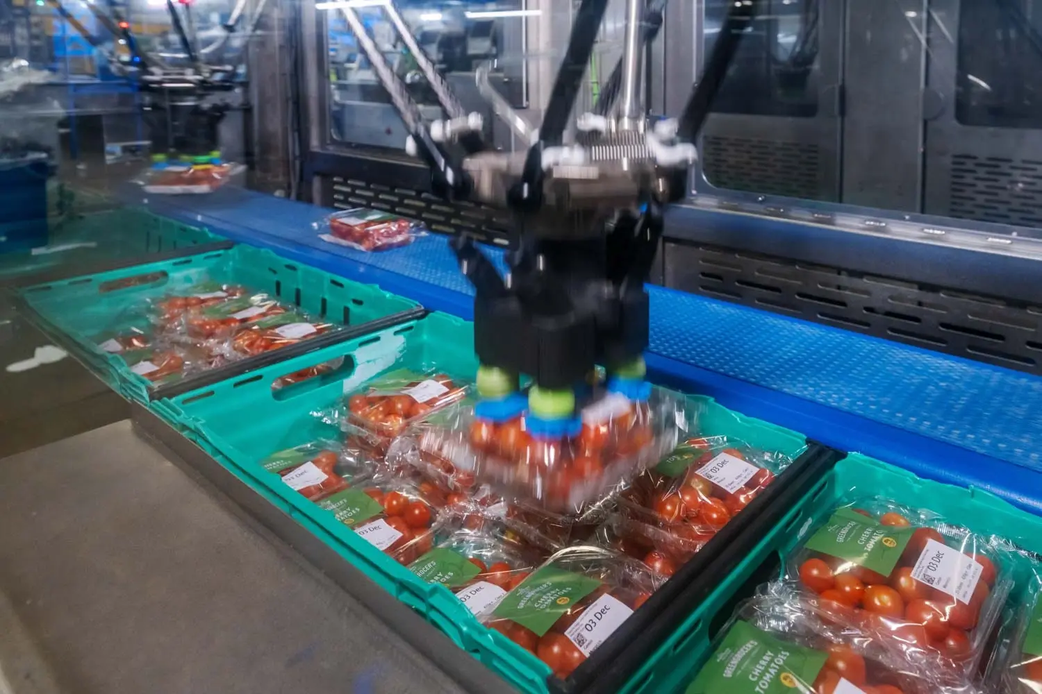 Automation: End-of-line packaging’s answer to labour shortages and the need for greater consistency