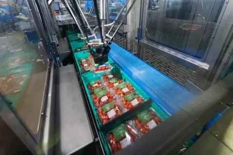How To Extend The Lifespan Of Your Pick And Pack Machine